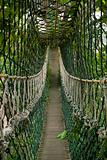 bridge inside tropical jungle or rainforest