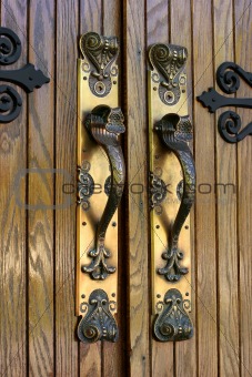Ornate Brass Door Handles