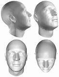 Human head 3D render