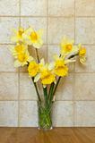  bouquet of daffodils 