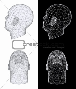 Human head. Vector Illustration