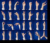 Alphabet in sign language