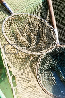 landing nets