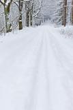 snowy road, Czech Republic