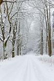 snowy road, Czech Republic