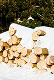 snow covered logs
