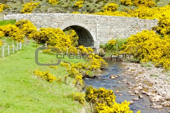 bridge near Armadale Bay, Highlands, Scotland