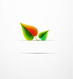 Abstract leaf illustration