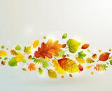 Autumn background with colorful leaves.