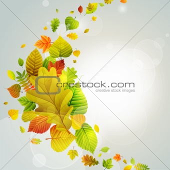 Autumn background 