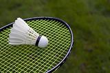 Green grass badminton