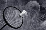 Leisure badminton
