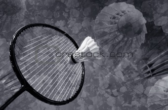 Leisure badminton