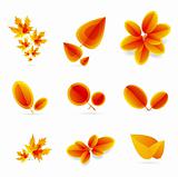 Orange leaf design