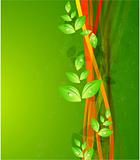 Leaf vector illustration