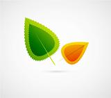Leaf vector illustration