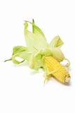 Corn Cobs 