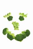 Pieces of Broccoli 