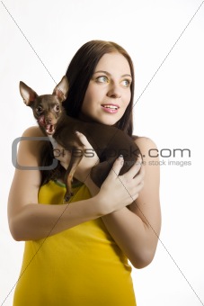 Young pretty beautiful woman holding little toy terrier dog.