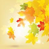 Autumn background with leaves and sun / eps10