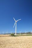 Zahara wind power mills