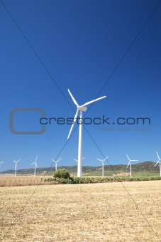 Zahara wind power mills