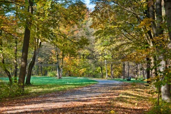 Walk in the park