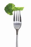 Fork with Broccoli 