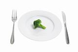 Plate with Broccoli 