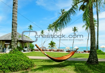 hammock between palm trees on tropical beach