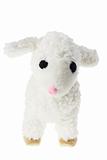 Soft Toy Lamb