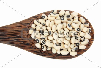 White Beans 
