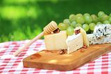 Various sorts of cheese and grapes