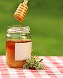 Jar of honey against nature background