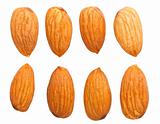 Almond nuts