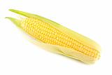 Single yellow corn on the cob