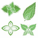 Mint leaves icons