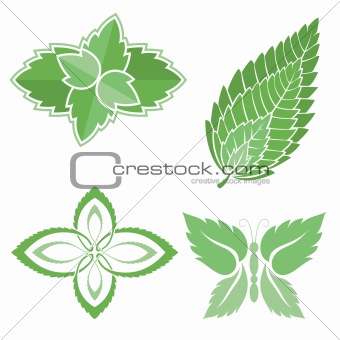Mint leaves icons