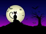 Halloween night background