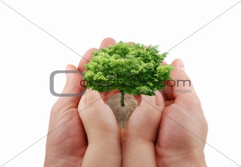 Nature in your hands