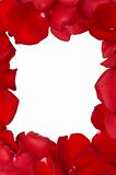 Frame from isolated red rose petals