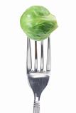 Brussel Sprout on Fork 