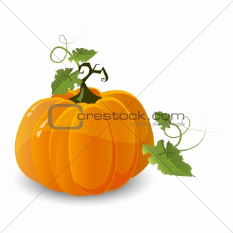 vector halloween pumpkin