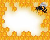 the vector bees and honeycomb with honey eps file