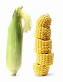 Corn Cob 