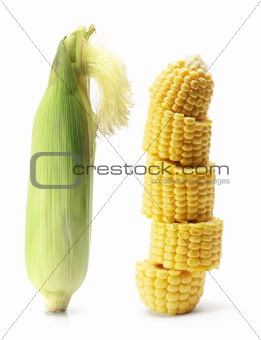 Corn Cob 