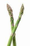 Two Stalks of Asparagus 