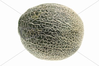 Rock Melon 