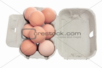 Eggs on Carton 