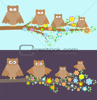 Family of owls sitting on a branch. Two variations
